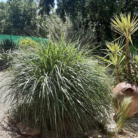 Russan Le Calme De La Garrigue Bed & Breakfast エクステリア 写真