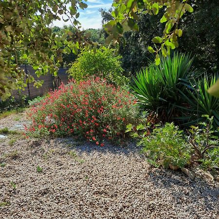 Russan Le Calme De La Garrigue Bed & Breakfast エクステリア 写真