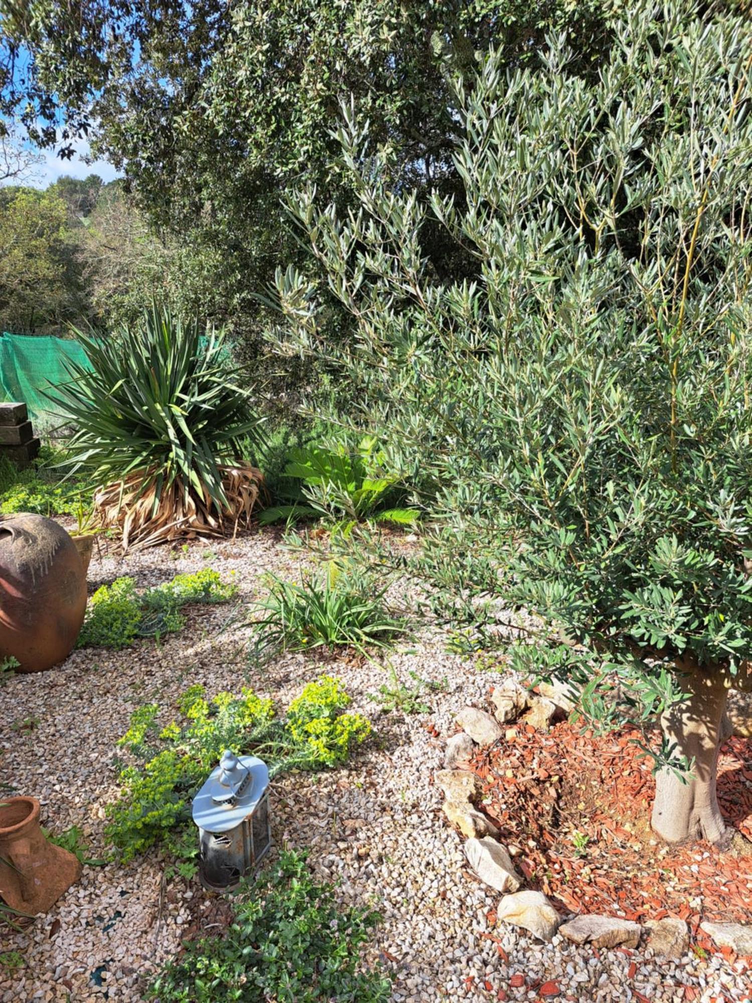 Russan Le Calme De La Garrigue Bed & Breakfast エクステリア 写真