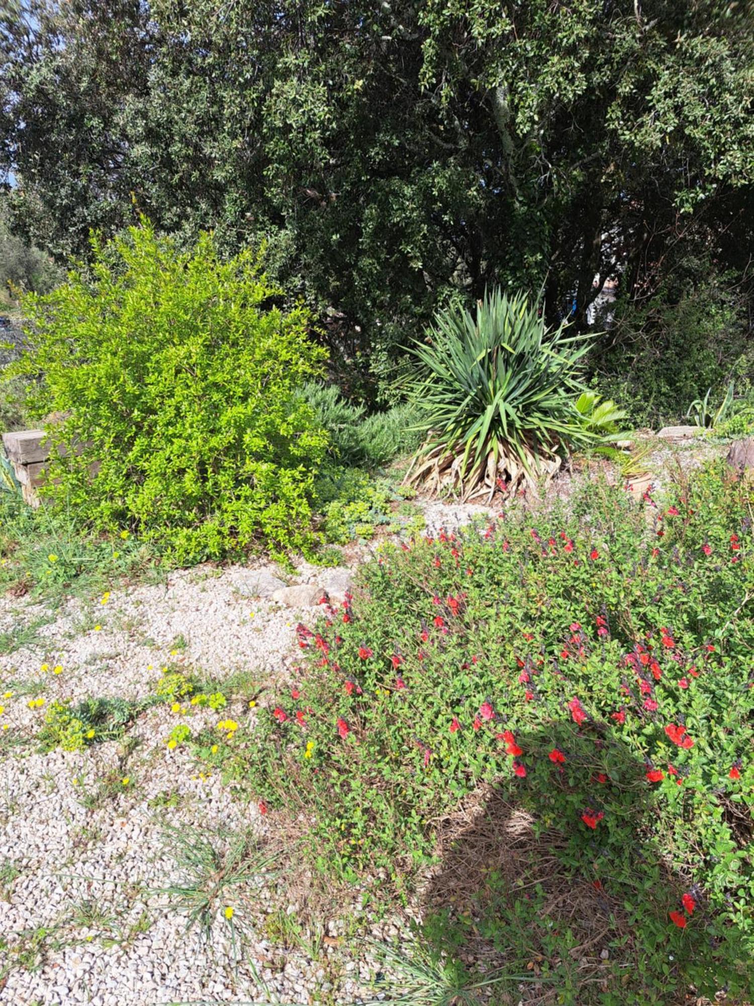 Russan Le Calme De La Garrigue Bed & Breakfast エクステリア 写真