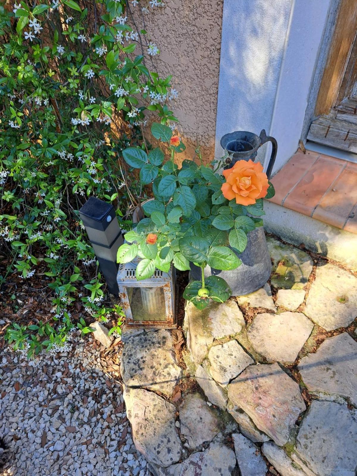 Russan Le Calme De La Garrigue Bed & Breakfast エクステリア 写真