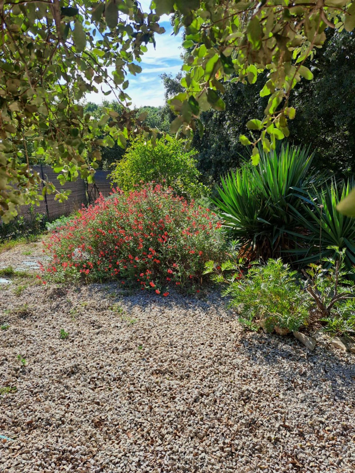 Russan Le Calme De La Garrigue Bed & Breakfast エクステリア 写真